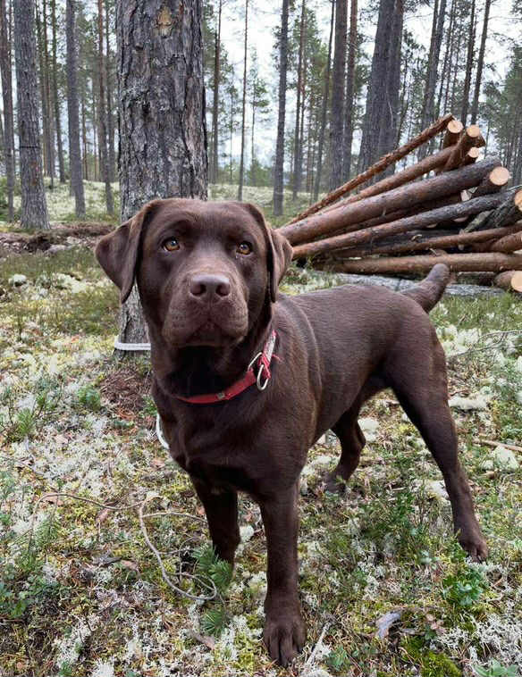 Esther