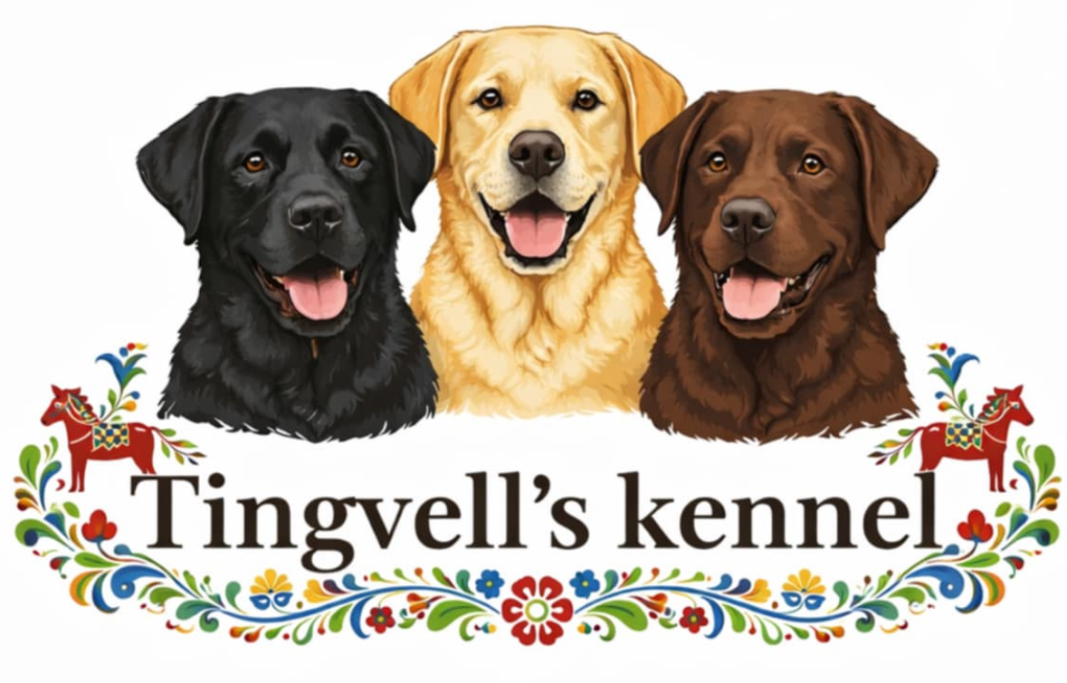 Tingvellskennel